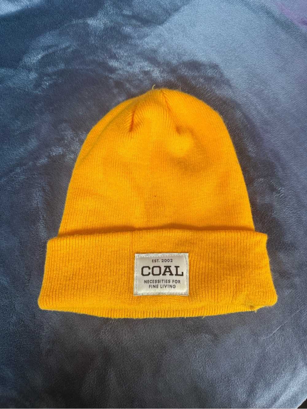 COAL Men's Yellow Knit Beanie